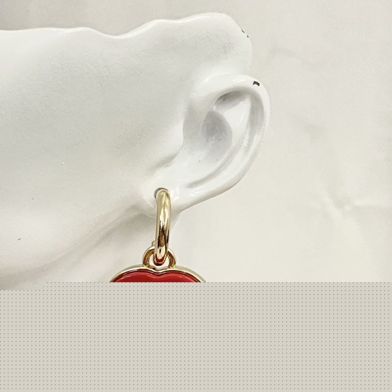 Ch*el earrings